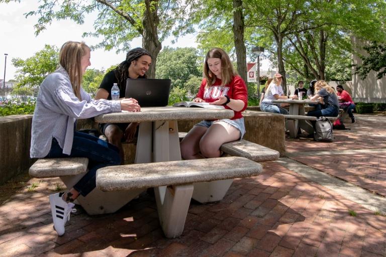 Students studying outside on campus.
